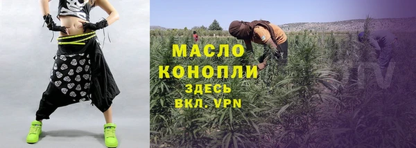 гидра Абаза