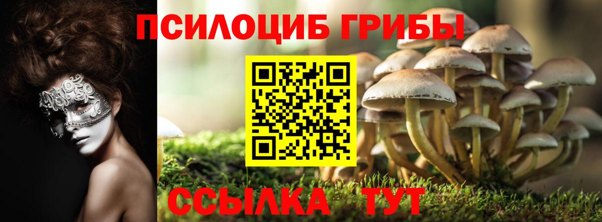 Невинномысск  Галлюциногенные грибы ЛСД  Вход с VPN 
